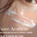 뮤제(MUSEE) 이미지