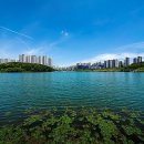 동탄호수공원 이미지