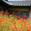 나주영상테마파크 이미지