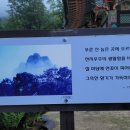 연종보감 이미지