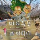 6월10일(토)설악산+국제트레킹[취소] 이미지