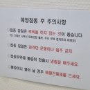 대전 백일해 예방접종 가격 비교｜저렴한 병원 다녀온 후기