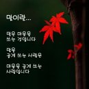 ♡ 신[神]의 한 수 같은 인생[人生]은 없다 이미지