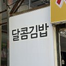 달콤김밥 | 목포 맛집 • 삐약김밥(계란폭탄) • 더블치즈김밥 • 솔직후기