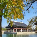 일화씽크 이미지