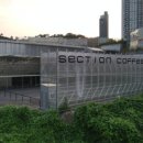카페1313