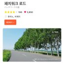 2023-0048 | [삿포로 가족여행 #4-2] 비에이 투어ㅣ비에이역 일본식 가정요리 코무기 식당 / 11월의 크리스마스트리...