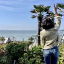 최남단글램핑 이미지