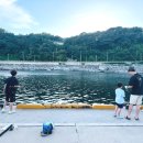 방파제낚시 | 속초 아이와 낚시｜외옹치항 방파제 민장대 낚시 후기