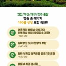 신세계관광여행사 이미지