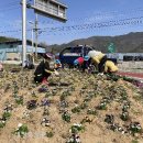 산서면 장수-19 새전북신문