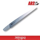 아루스 이미지