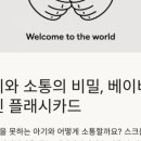 사인플래시
