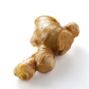 진저(Ginger) - 동구 | 진저(Ginger)