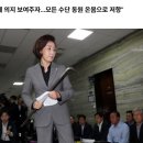 빠루 전사 나경원 국민의힘 의원 &#34;이번 내란은 제2의 광우병 괴담&#34; 강조 이미지