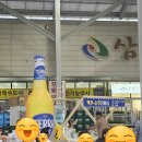 2024 만경강 삼례시장 가맥축제 후기, 주차꿀팁