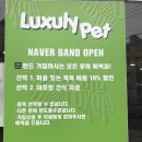 럭셔리펫 이미지