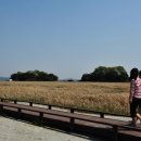 공룡알화석지방문자센터 이미지