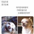 돈워리비해피 이미지