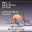 거친 파도와 유능한 사공 이미지