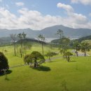 충무스크린골프존 이미지