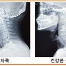 예감당한의원 이미지