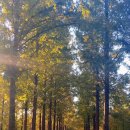 난지천1(난지주차장) 이미지