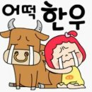 챠오벨라 이미지