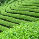 율포펜션 이미지