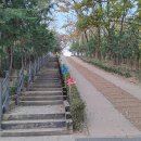 대구수목원 국화 전시장은 5일장 처럼 벅적대고! - 대구수목원 주변 작은 산을 넘고 넘어~ 이미지