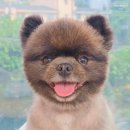 송현약품 이미지