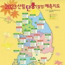 설악산 단풍 절정 10월 23일 한라산 11월1일 이미지