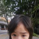 엠에스안과 이미지