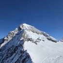 새마을로1R-37 | 2025 오독스헝 아빠편 10일차: 융프라우요흐, 37번 트레킹, 그린델발트