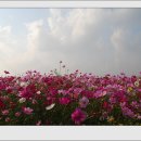 참행복한