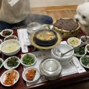 하남애견