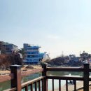 [화성] 경기도 바다 궁평의 하루 바지락칼국수 + 궁평항 먹거리 행복장터 14개월 아이랑 내돈내산 주말...