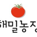 해밀여행 이미지