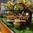 카페본 | 와플대학 신메뉴 쫀떡쌀젤라또 선릉카페 먹어본 후기