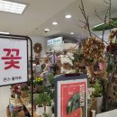 은스플라워