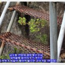 옥계천 이미지