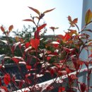 강두농장 이미지