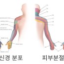 해늘한의원 이미지