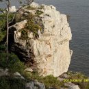 꽃섬투어 이미지