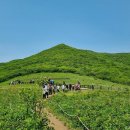 진동너와촌해마루펜션 이미지