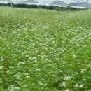 로타리 꽃농원 이미지