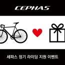 (주)세파스 이미지