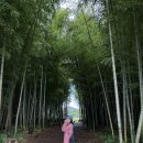 청파목장 이미지