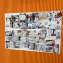 [천안 카페] 사모예드 카페 하트멍 후기🐶