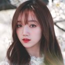 해영 Daum카페